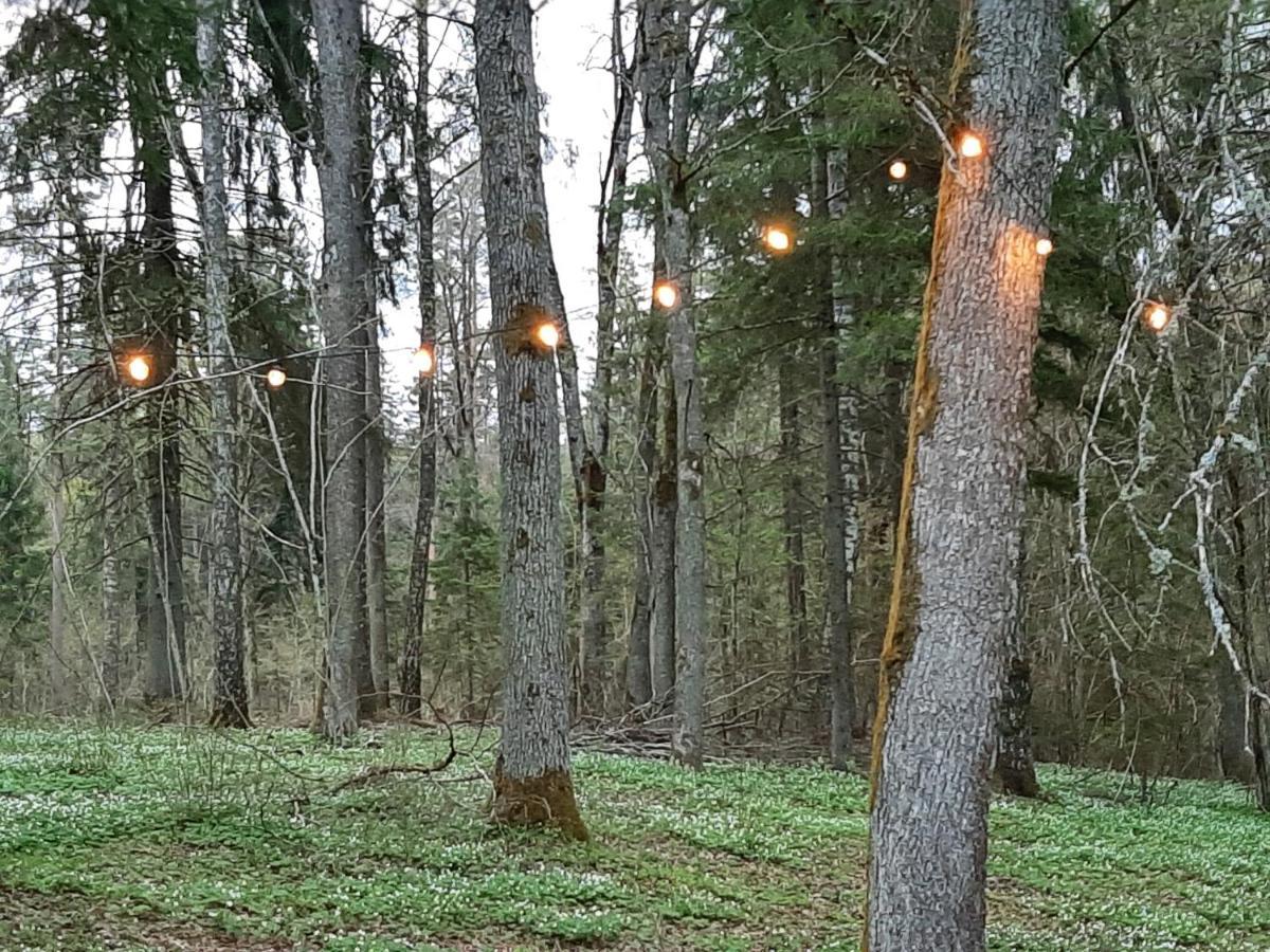 Mosku Pirts Meza Maja Villa Turaida Eksteriør bilde